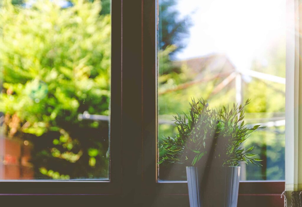 Sunlight streams through a window, brightening a peaceful room where a potted plant sits on the sill. Just like the vibrant greenery outside, Bell Brothers brings reliability and comfort into Northern California homes. With our No Surprise Guarantee, background-checked technicians, and upfront pricing, you can trust our team to provide honest, professional service that local communities rely on every day.