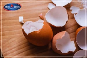 Eggshells - What You CAN and CANNOT Put Down the Garbage Disposal
