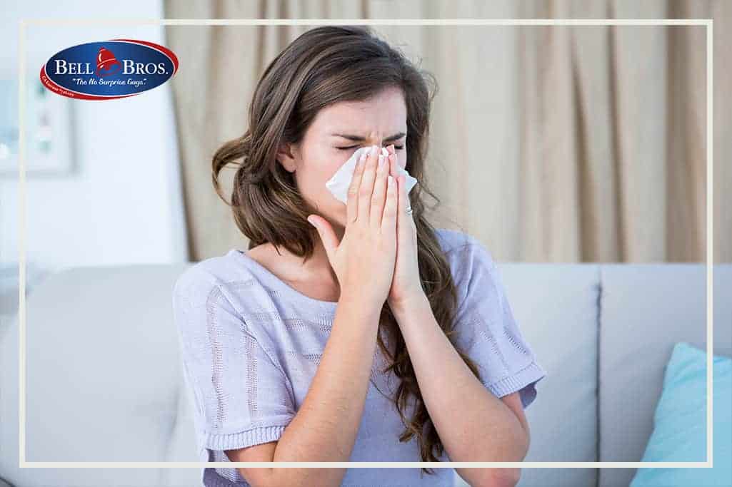 Your HVAC Can Help with Allergies