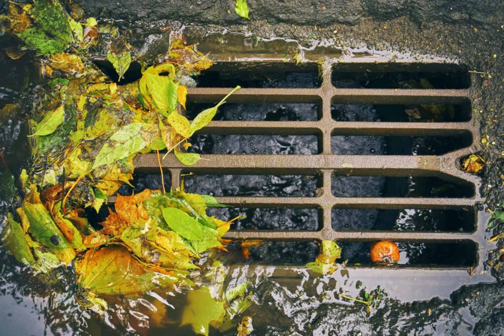 Rainwater pools around a metal storm drain grate partially covered by autumn leaves, highlighting the importance of effective plumbing maintenance. Bell Brothers’ trusted, background-checked technicians proudly serve Northern California communities, offering upfront pricing and the No Surprise Guarantee—so you always know what to expect from our reliable service.