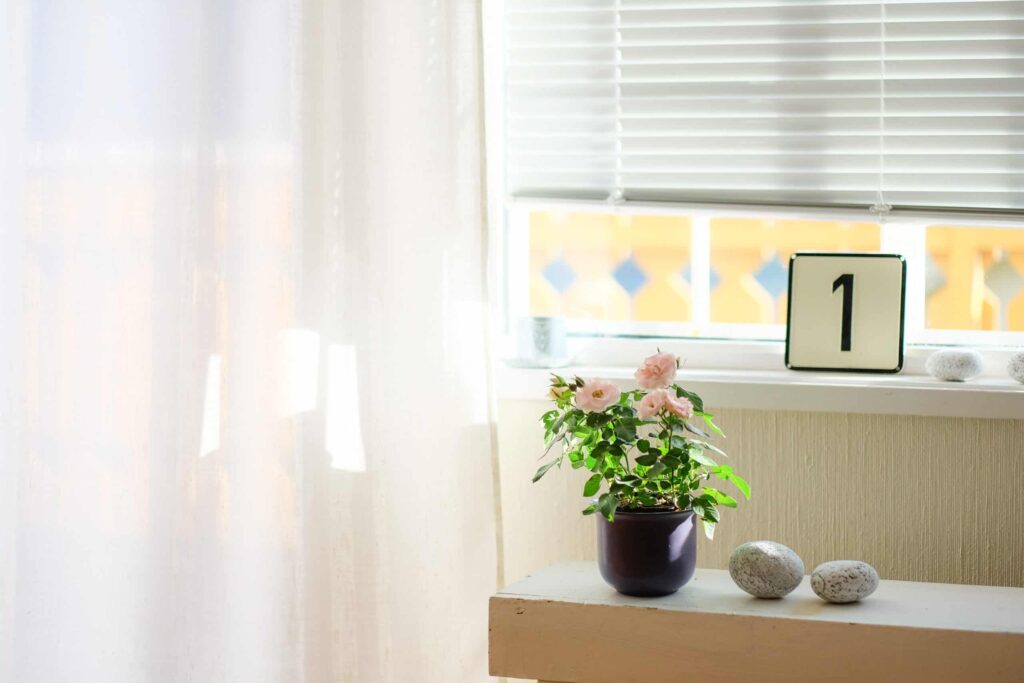 A bright pink potted flower, a “#1” sign, and decorative stones sit neatly on a table by a sunny window with blinds—reflecting Bell Brothers’ commitment to being Northern California’s most trusted home service provider. Our No Surprise Guarantee ensures you receive only upfront pricing from our fully background-checked technicians, earning us top marks across our local communities.