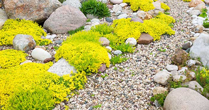 Prevent Bugs Coming Through Air Conditioner Vents with a rock garden.