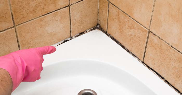It's time to caulk your shower when  there's mold.