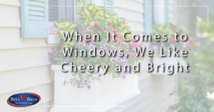 How to choose the Best Flowers for a Window Box.