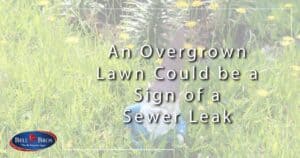 An Overgrown Lawn Could be a Sign of a Sewer Leak