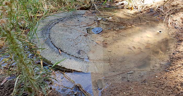 A sewer leak can flood your yard.