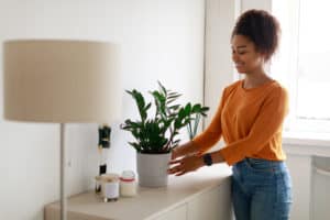 woman moving her plant indoors
