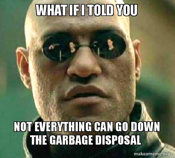 garbage disposal meme